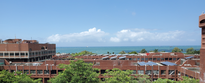 Rayko Research Group